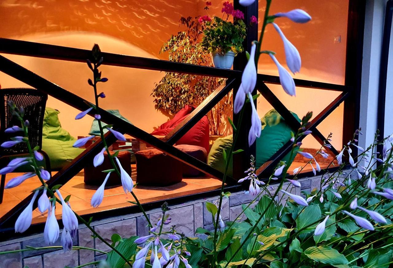 Villa Zenko ブライオカリチ エクステリア 写真