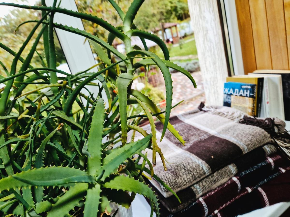 Villa Zenko ブライオカリチ エクステリア 写真