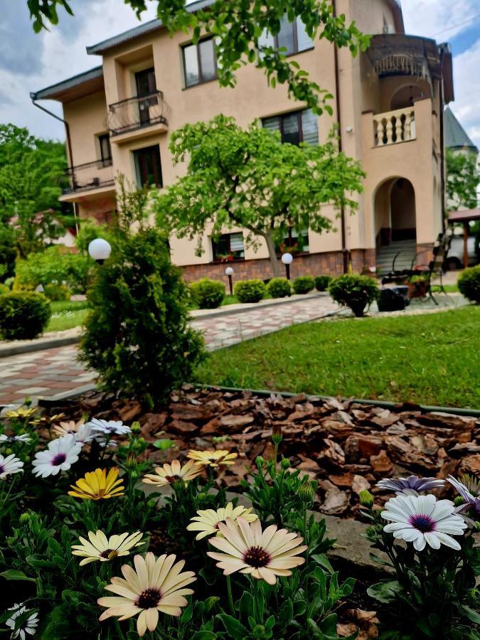Villa Zenko ブライオカリチ エクステリア 写真