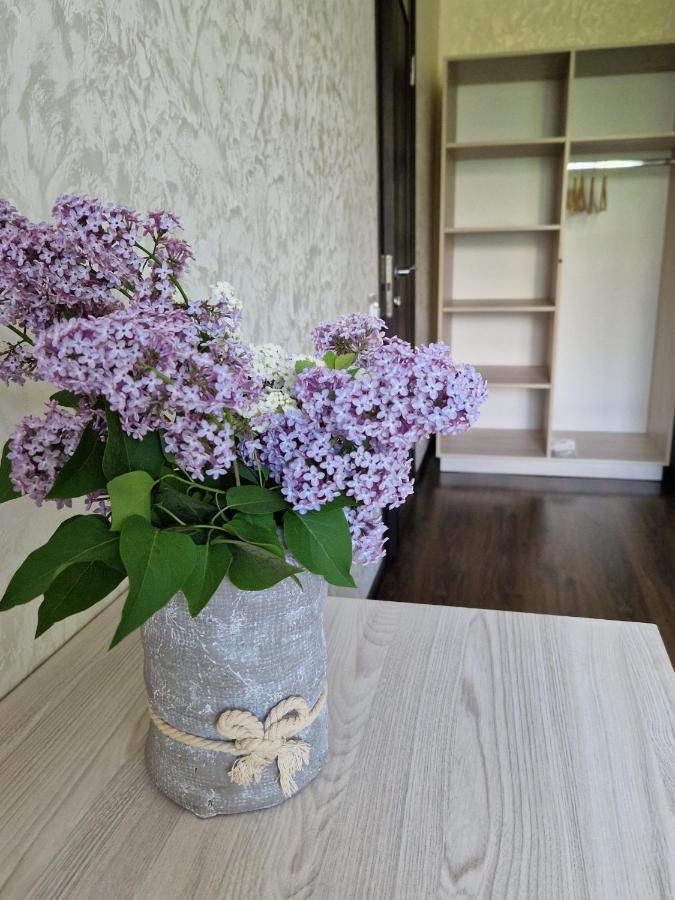 Villa Zenko ブライオカリチ エクステリア 写真