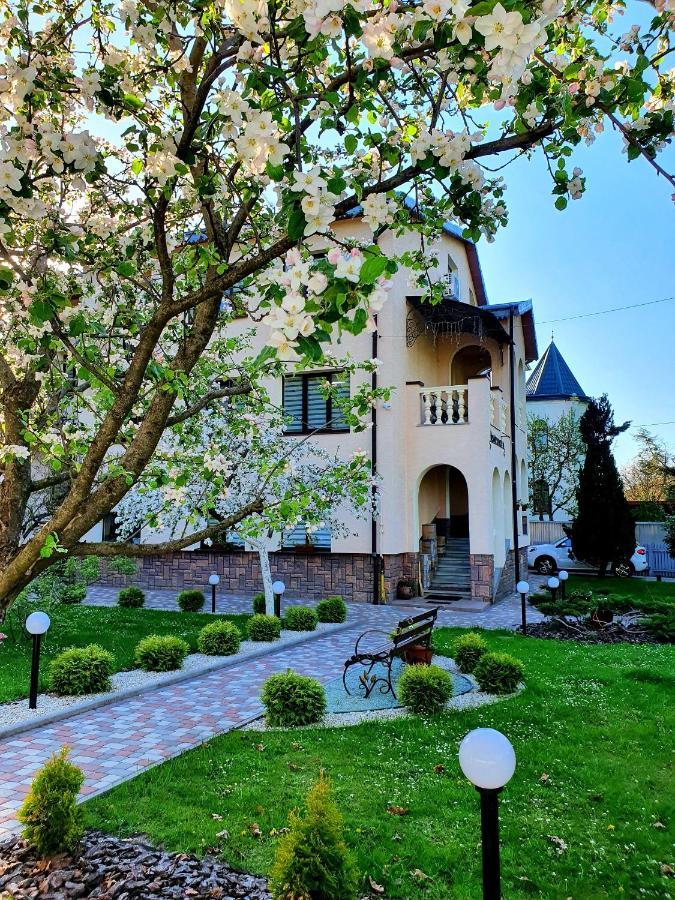 Villa Zenko ブライオカリチ エクステリア 写真