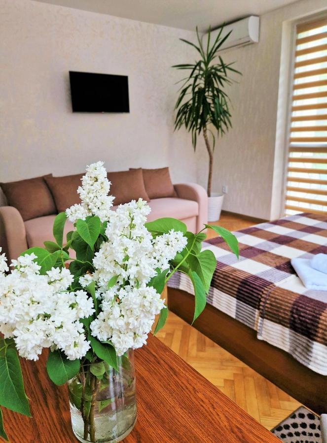 Villa Zenko ブライオカリチ エクステリア 写真
