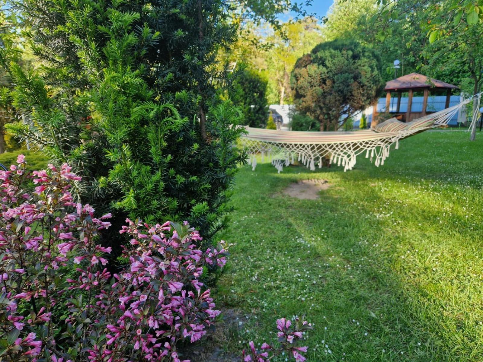 Villa Zenko ブライオカリチ エクステリア 写真